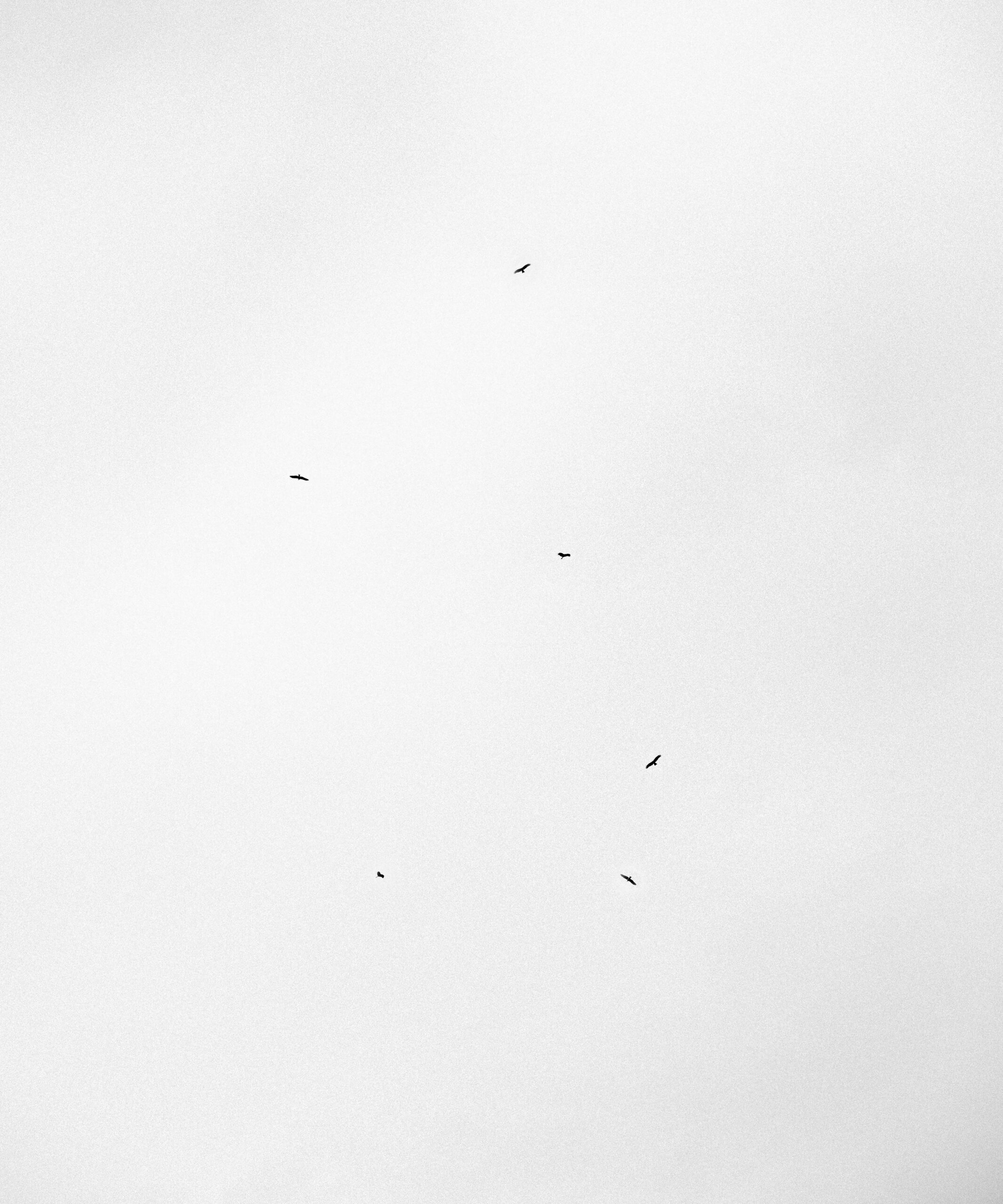Hovering dots #001