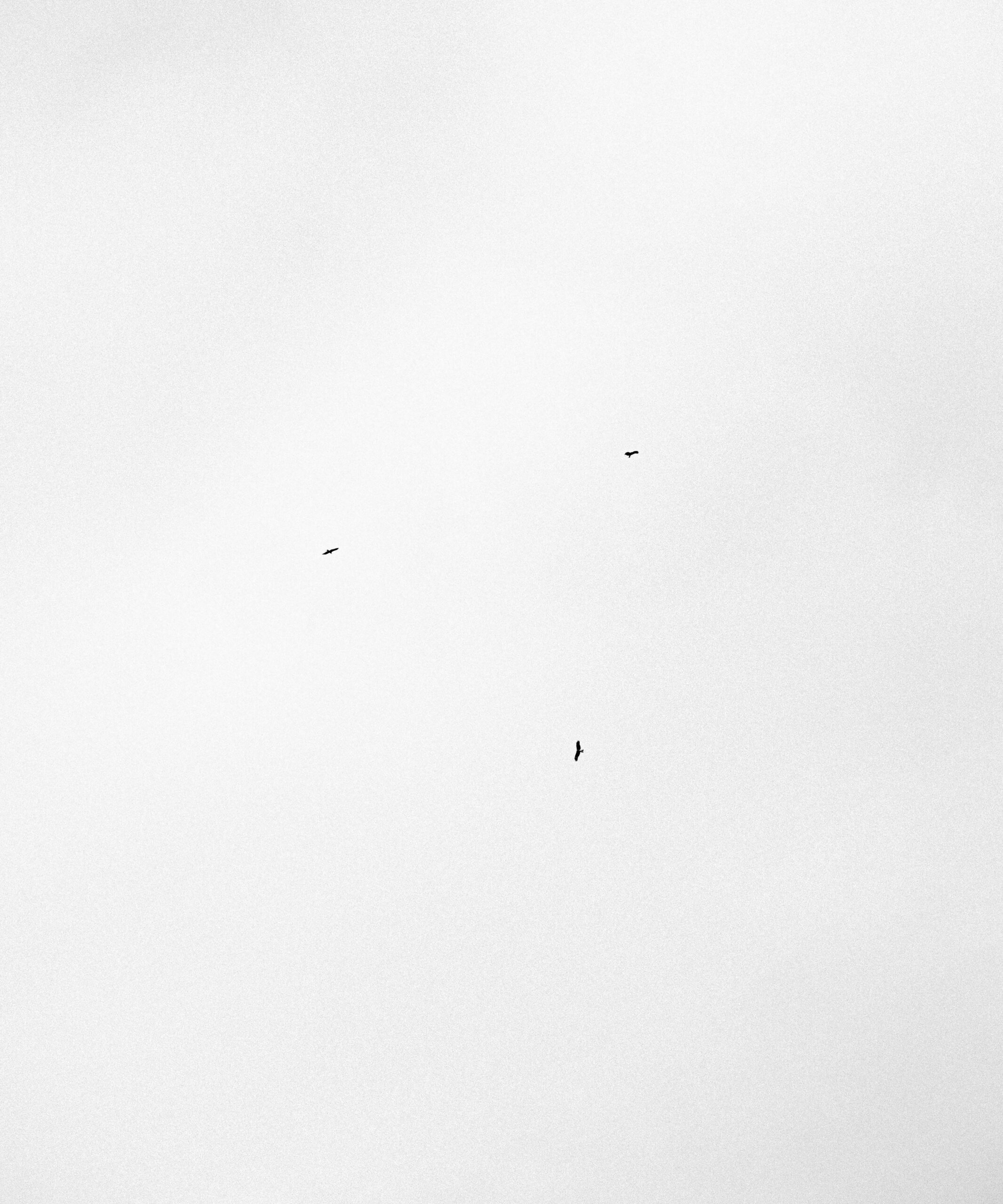 Hovering dots #002