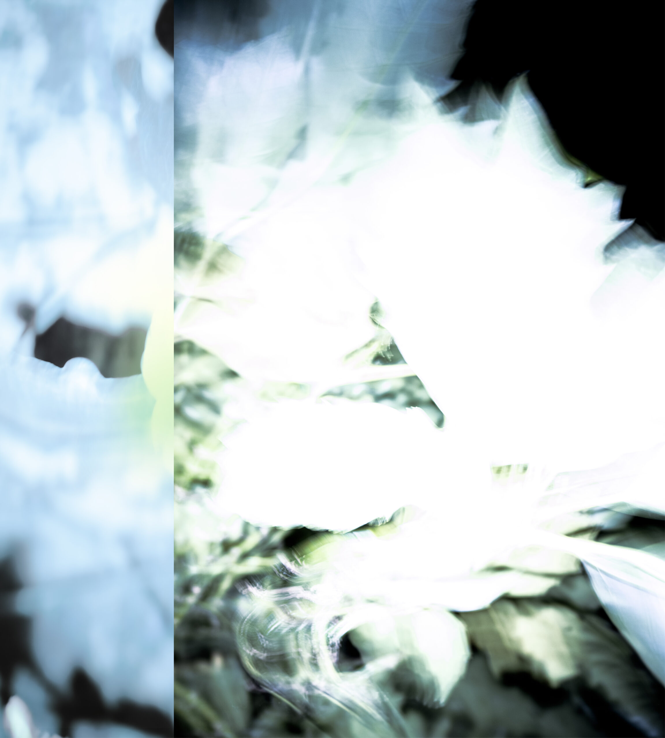 Unseen Glimmer